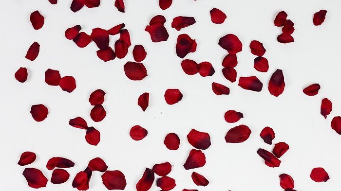 rose petals